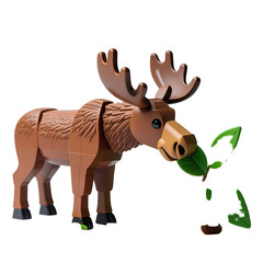 Moose eating leaf