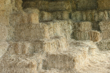 lucerne baled, Barley Straw top bales of stack, soft grassy , Proper Hay Storage indoors in the barn under the shade © poco_bw