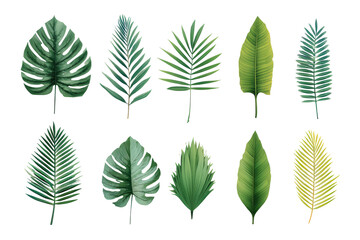Tropical leaf collection, various shapes and shades of green (1)