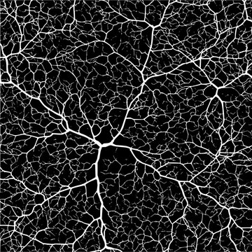Abstract white veins network on black background neural network pattern vein structure organic texture design