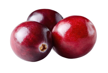 Close-up of three plump, glossy cranberries