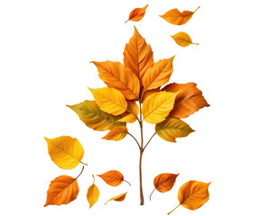 Naklejka premium Vibrant Autumn Leaves Branch and Falling Leaves Isolated on White