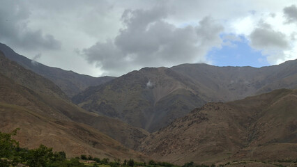 Nature and Companions: Cats, Blossoms, Sunsets, and Midnight Skies.