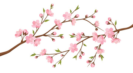 Fototapeta premium Delicate cherry blossom branches on a pristine white backdrop, conveying a sense of spring renewal and tranquil beauty within an illustrative