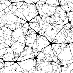 Neuron network neural connections brain cells nervous system dendrites axons biology science abstract pattern design