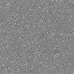 Obraz premium Abstract black and white pattern background with organic lines and shapes flowing seamlessly design art drawing
