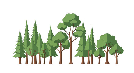Stylized Diverse Forest Illustration with Evergreen and Deciduous Trees in Flat Design isolated over white background