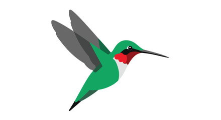Obraz premium Animated hummingbird illustration with vibrant plumage and stylized wings in mid flight isolated against a pristine white background showcasing
