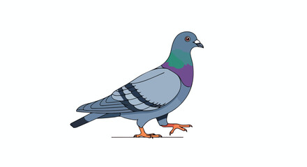 Cartoon pigeon illustration with blue, purple, and green colors, isolated against a plain white background showing a bird gracefully stepping forward