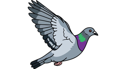 Fototapeta premium Cartoon-style illustration of a pigeon in mid-flight displaying its gray and purple plumage against white canvas 150 characters