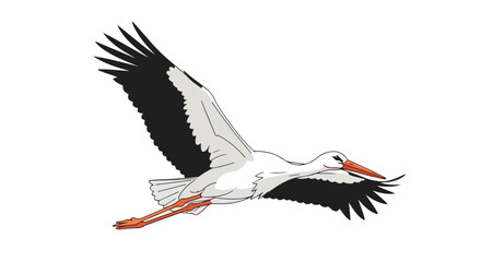 Fototapeta premium Elegant stork in soaring flight capturing the essence of freedom and graceful movement conveying natural beauty and avian dynamism across a serene