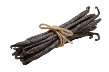A bundle of dark brown vanilla beans tied with a light beige string