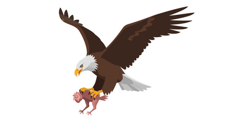 Obraz premium Majestic eagle soaring high with prey caught in its talons against a stark white backdrop featuring brown and white plumage its graphic illustration