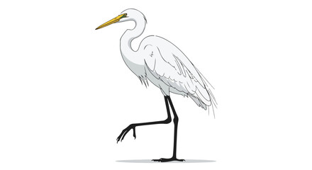 Obraz premium Elegant white heron stands gracefully, a captivating vector illustration conveying tranquility and natural allure isolated against a clean backdrop