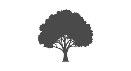 Monochrome arboreal silhouette displaying detailed branching structure against a bright blank canvas highlighting natural forms