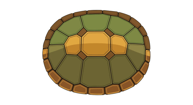 Stylized depiction of a turtle shell featuring earth-toned segmented plates on a white backdrop