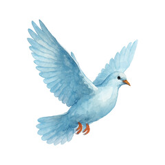 Fototapeta premium Blue dove flying watercolor bird illustration isolated on white