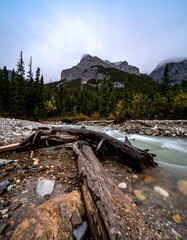 Mountain stream with fallen logs. Misty autumn landscape