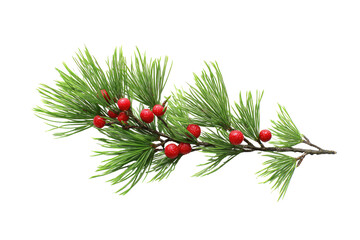 Close-up of a Christmas sprig. Vivid green pine needles adorn a branch, interspersed with small, bright red berries