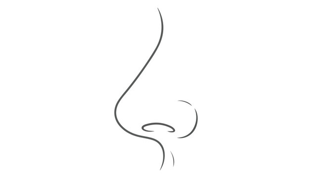 Minimalist line drawing of a human nose on a white background creating a simple yet elegant anatomical artwork showcasing simplicity in design