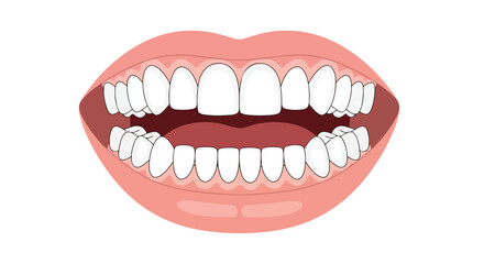 Human mouth illustration exhibiting teeth and gums, showcasing dental hygiene and anatomical structure with visual clarity