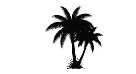 Silhouette of two graceful palm trees against a bright white backdrop creating a tropical atmosphere for a minimalist aesthetic
