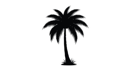 Elegant black silhouette of a tropical palm tree on a serene white background conveying peaceful nature and calm summer vibes beautifully showcased