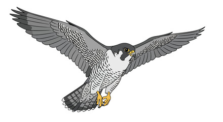 A falcon soars with expansive wings, captured in artistic style, showcasing freedom and power in nature as bird
