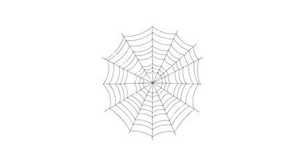 Intricate Hand-Drawn Spider Web Illustration Highlighting Fine Details and Symmetrical Pattern on a Clean White Background