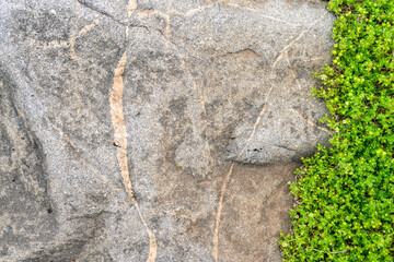 Nature’s art, beautiful patterns in rock and small green tundra plants on the coast of Hudson Bay, Manitoba, Canada, as a nature background
