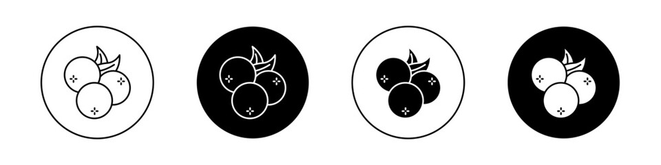 Blueberry icons vector graphics collection on white background