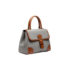 Handbag isolated on transparent background