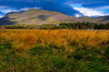 Golden Grass Field with Mountain and Cloudy Sky in Iceland