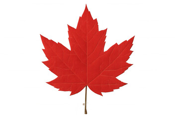 Fototapeta premium Vibrant red maple leaf, iconic symbol of canada, isolated on a transparent background, perfect for designs related to canadian identity, nature, or autumn