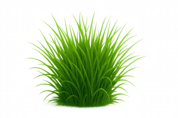 Vibrant green grass tuft isolated on a transparent background, perfect for adding a touch of nature to designs