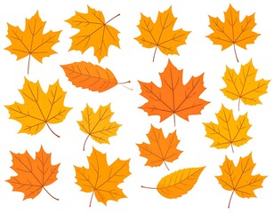 Colorful autumn leaves