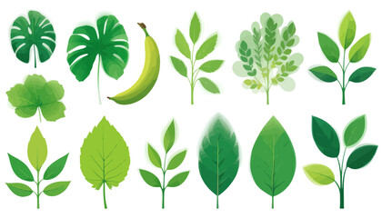vector set of green leaves