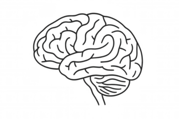 Hand-drawn illustration of a human brain, symbolizing thought, memory, and cognitive function, isolated on a transparent background