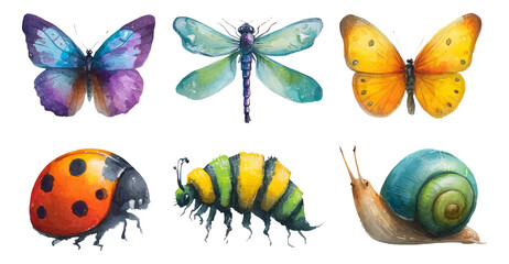Colorful Insects and Snails in Various Art Styles with Isolated Transparent Background