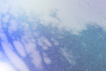 Dappled Sunlight on the Ground with Gradient Overlay