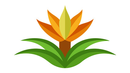 Flat Vector Welwitschia Mirabilis Flower Orange Green Namib Desert Plant