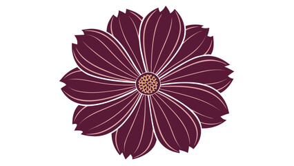 Fototapeta premium Maroon Cosmos Flower Vector Graphic Illustration flower illustration
