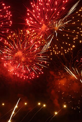 Obraz premium Vertical Horizon Red Firework celebrate anniversary night time celebrate national holiday. Happy new year 2025 4th of july holiday festival. Vertical Red firework Countdown to new year 2025