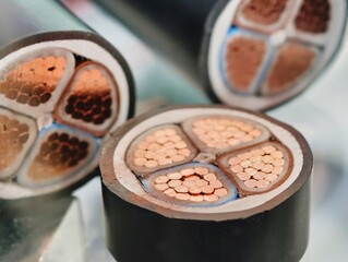 Understanding the intricate layers of a power electric cable cross section revealing its conductive design and functionality