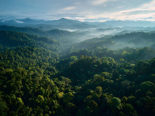 Fototapeta premium Epic aerial view of rainforest canopy layers, vibrant green trees, misty morning light, mountain landscape, serene atmosphere, untouched nature, tropical wilderness