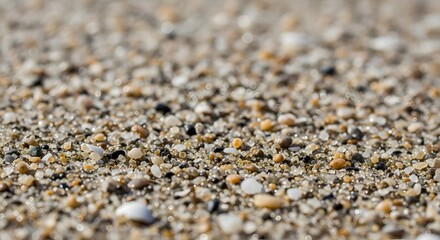 Macro Sand Texture on the Beach Close-up View of Coastal Granules and Seashells