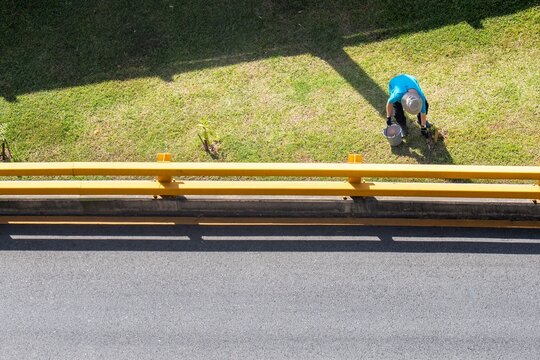 Gardener in Blue Shirt Planting a Tree by the Roadside