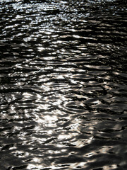 太陽光が反射する水面