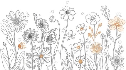 Elegant Line Art Wildflower Meadow Botanical Illustration