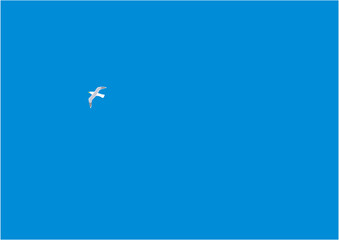 青空に飛ぶカモメのイラスト